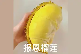 “吃过猫山王，才知榴莲香”！泰国猫山王，鲜果树上熟，香气更浓郁，速抢！图片