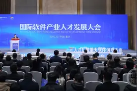 重庆两江新区：让人才与企业实现“双向奔赴” 国际软件产业人才发展大会举行图片