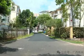 广西南宁一小区养鹅驱蛇？真有用，但……图片