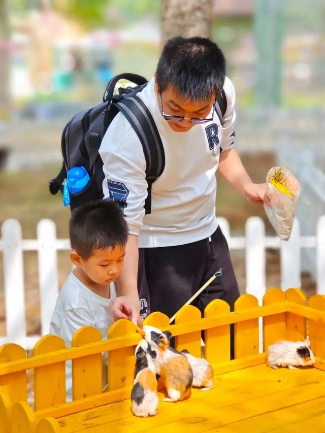 本地人都夸绝！五一黄陂玩法全攻略出炉！