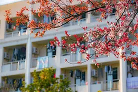 阻拦学生凌晨奔丧的宿管被处罚：学校改善管理不能到此为止图片