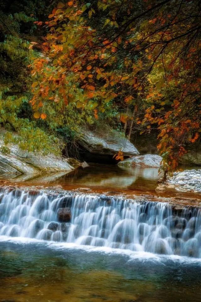 冉冉秋光色，今日又重阳！快用一场登高赏景晒一晒潮湿的心情~