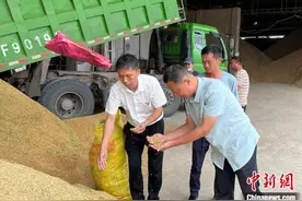 （乡村行·看振兴）江西广昌“驻村记”：念好“产业经” 当好“贴心人”图片