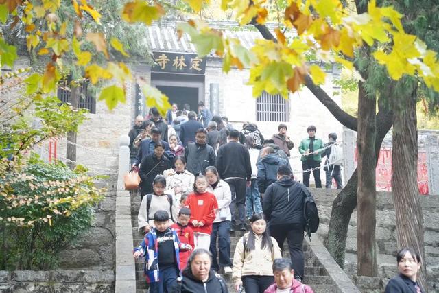 央视报道！就是现在！最佳赏叶期！还有玩法大升级……