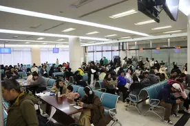 上海出入境窗口开足马力 保障民众春节假期出境前办证需求图片