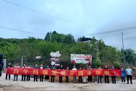 凯里和平村玛瑙樱桃“甜蜜”上市图片