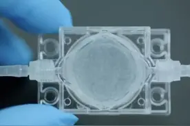 当链霉菌遇到空间站 如何在太空开疆拓土？图片