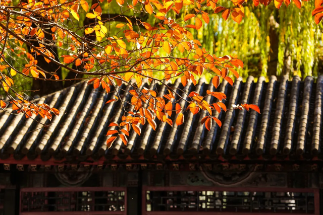 颐和园的秋天太美了