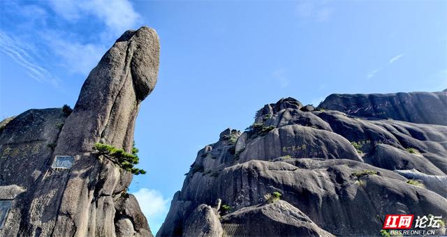 秋游时刻丨如果秋天有底色，那一定是黄山的样子吧？