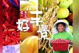 河南长垣：最是一年好“丰”景图片