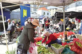 “野菜”“海鲜”节日唱主角！“五一”期间农贸市场也成游客“打卡地”图片