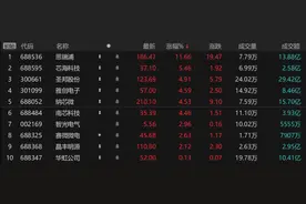 “原产地认定”加速半导体国产化 模拟芯片带头突围 龙头本周涨幅近三成图片