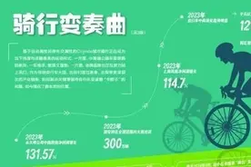 透视骑行热追踪：老牌自行车追风口图片