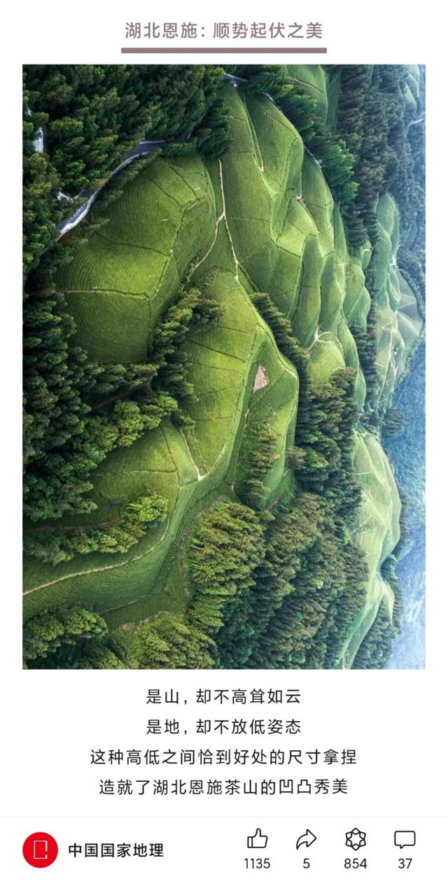 外交部赵立坚热情推荐的恩施这4个地方，究竟有多美？
