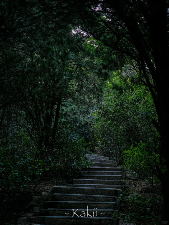 烟雨市北~不必赴江南，雨落此间即诗意