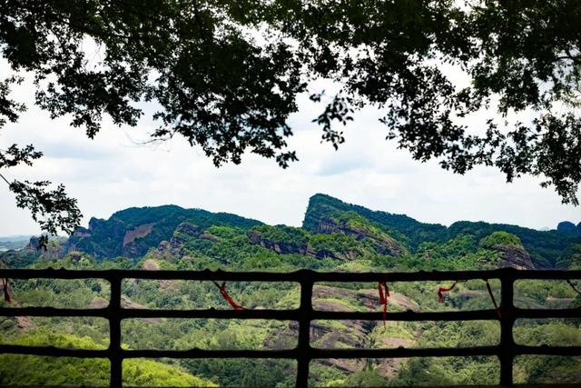 登高望远在龙虎，重阳遇见好秋光！