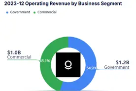 纳斯达克100“大换血”：Palantir年内涨幅领跑，超微电脑陨落图片