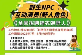 神农架招聘“野人”是真的，500元/天！喜吃生食优先录用图片