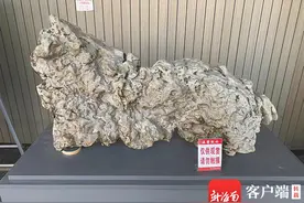 海南周刊 | 文海丰：慧眼识珠为石痴图片