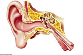 乱掏耳朵可能导致患癌？耳朵又痒又油到底该怎么办？一篇文章告诉你！图片