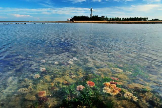 一键解锁湛江海岛天花板！这份官方推荐的「海岛漫游指南」请查收！