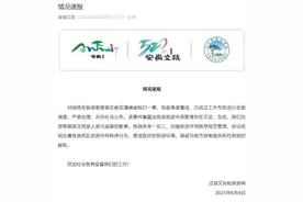 安徽泾县就“游客在桃花潭镇被殴打”发布通报图片