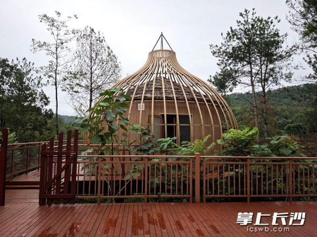 溶洞仙境遇民宿，天供山森林公园等你来打卡｜“来这澧 爱这澧”系列报道①