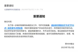 佛山一村村委回应号召18时一起点蚊香：欲配合外部消杀行动图片