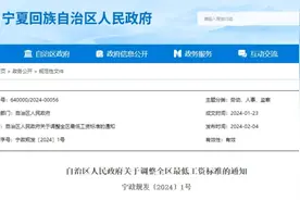 标准上调！宁夏这些人，工资要涨了！图片