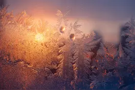 今日霜降：什么是霜降？有何讲究？天气如何？图片