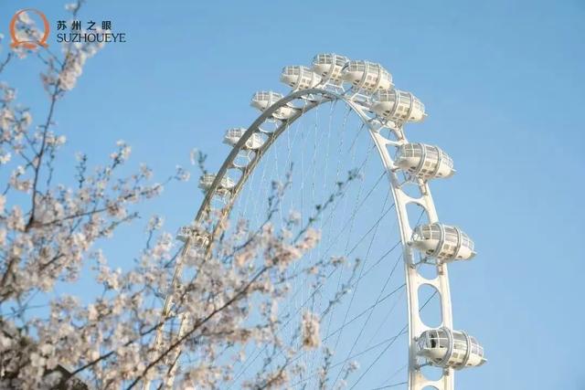 暑假破次元丨赛博苏城冒险手札