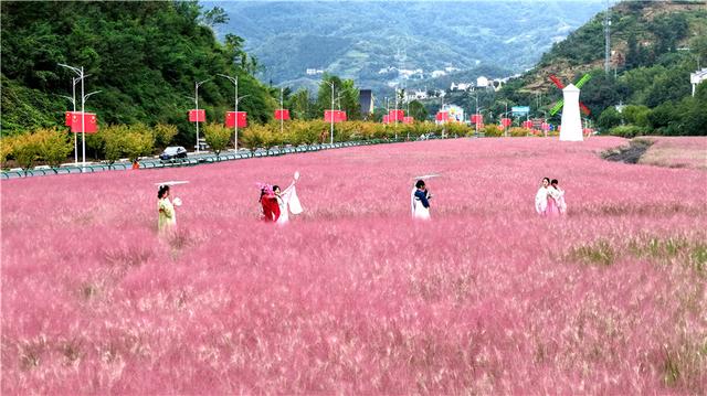 湖北竹山以花海颜值提升花样价值