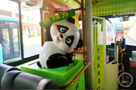 解锁山城新玩法 重庆首条熊猫巴士将于本月15日开行图片