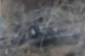 博主“猛蛇过江”称野外探险时再次发现疑似人体遗骸，辖区警方已派人前往事发地图片