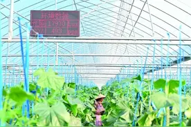 今日关注 | 提升投保理赔精准性 完善理赔机制和标准 四部门发文剑指农业保险关键环节图片