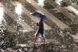 科普动起来丨暴雨洪涝后，要小心哪些传染病？应该如何消毒？图片