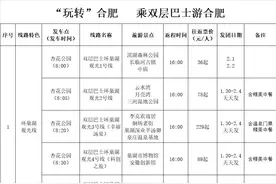 乘着公交游合肥 欢欢喜喜过大年图片