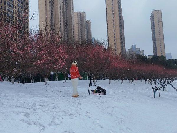 踏雪寻梅，武汉公园美出圈