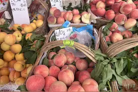 川观探市丨上市推迟但口感更好，四川水蜜桃将大量上市图片