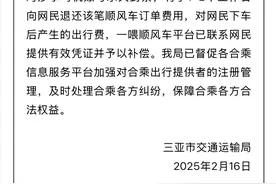 因提醒顺风车司机开车不能玩手机，乘客被赶下车？三亚通报：涉事司机账号永久封禁图片