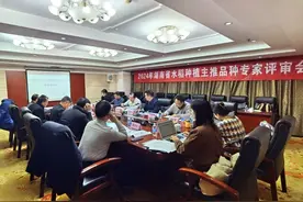 精选主推品种 打响湘米品牌 湖南发布2024年水稻种植推荐品种图片