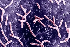 印度暴发罕见神经系统疾病，疑已致死5人图片