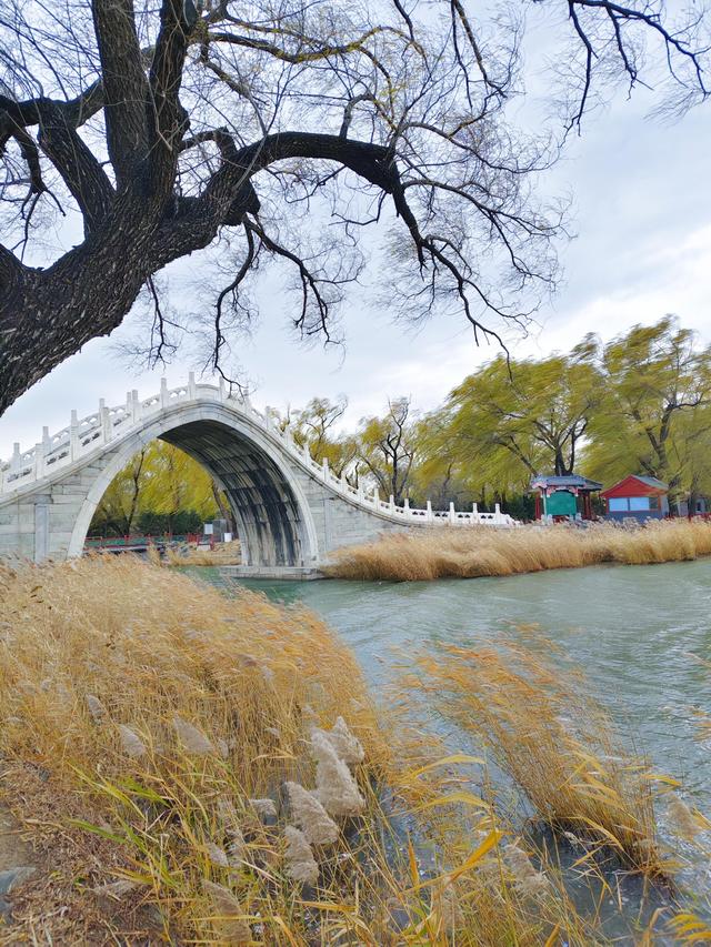 风中探访颐和园：湖山终日看犹新，游禽经冬栖自暖