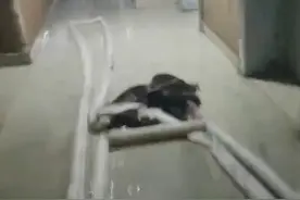 已致15人遇难！南京“2·23”火灾亲历者：楼道全是浓烟，女儿的一句话让他后怕图片