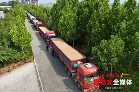 从麦浪到粮仓，科技为粮食安全“加码”！泰安夏粮收购打造“透明、安全、高效”收储链条图片