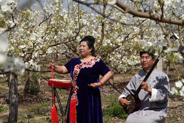 清明假期，踏青赏花感受春日之美→
