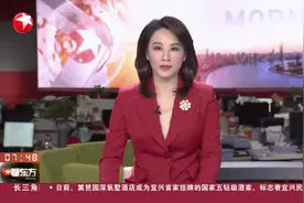 江苏无锡：国产电动三轮车国外热销 企业订单增加视频封面