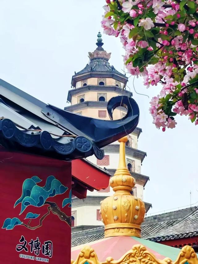 春色满城！定州藏不住的温柔与浪漫