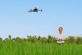 长沙银行金融向“新”力|AI赋能“农业芯片”打造智能育种“黑科技”图片