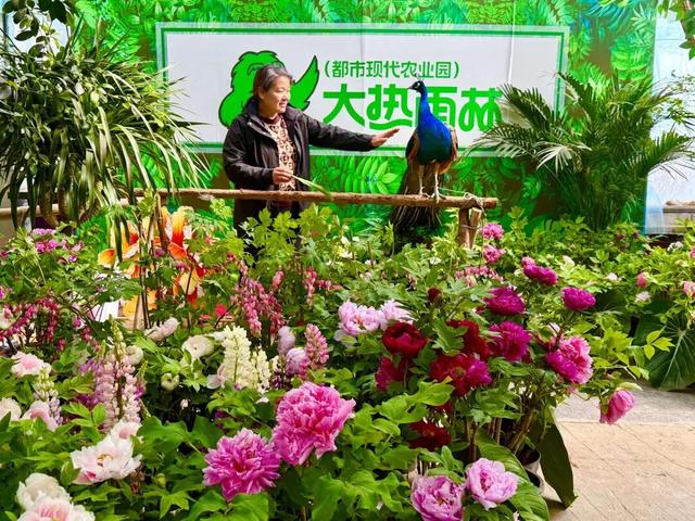 开了，开了！呼和浩特顶流回归！近万株齐绽放，第一波市民已经被惊艳到了！赶紧通知家人！附具体地址